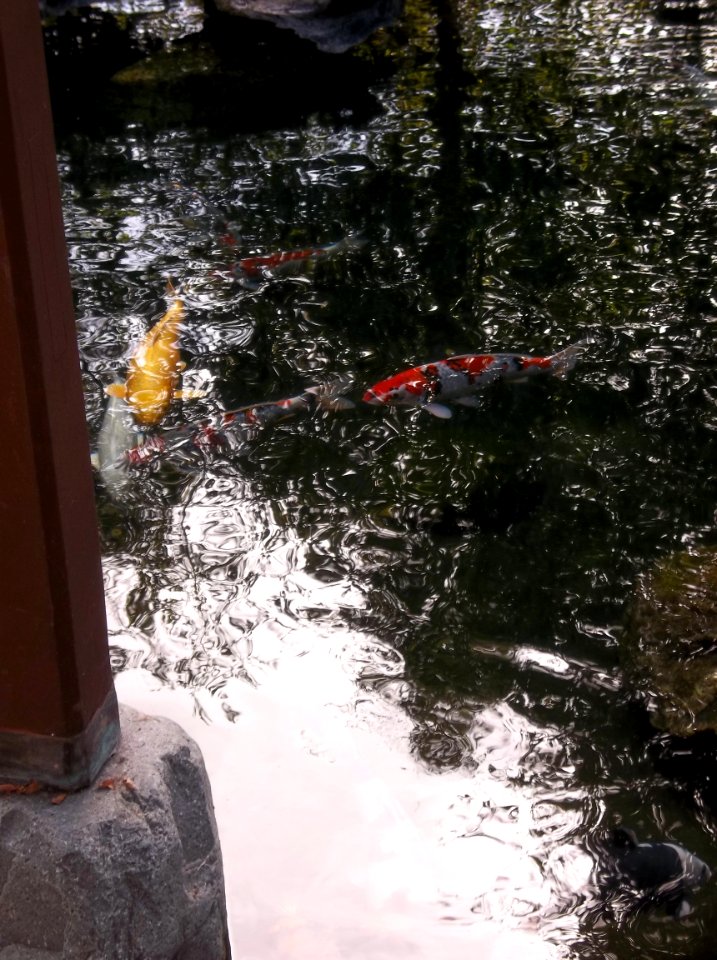 014_Balboa_Park_Japanese_Garden