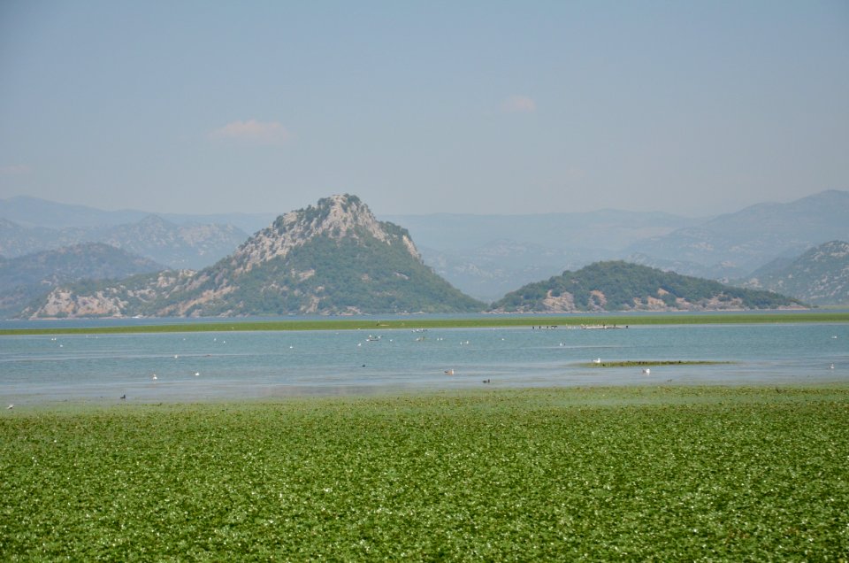 0091_July_2017_in_Montenegro