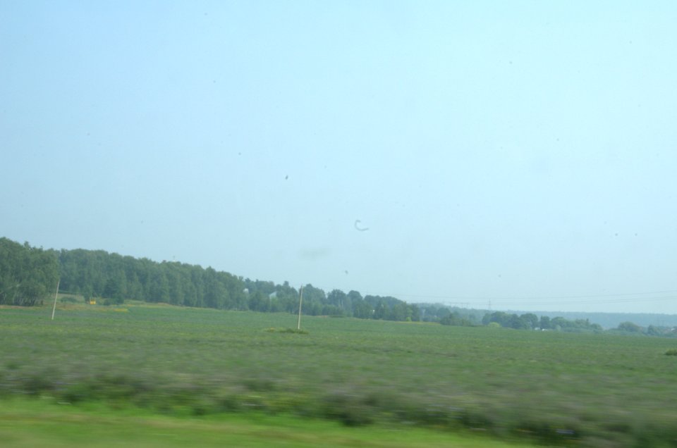0082_25th_of_July_2016_in_Moscow_Oblast