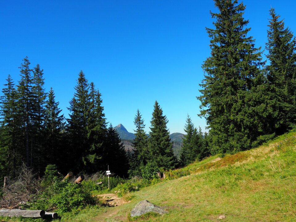 Landscape view top view