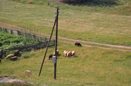 0152_July_2017_in_Montenegro