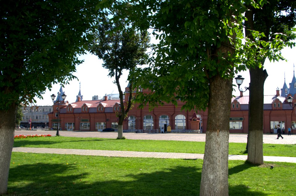 0156_1st_of_August_in_Moscow_Oblast,_Russia
