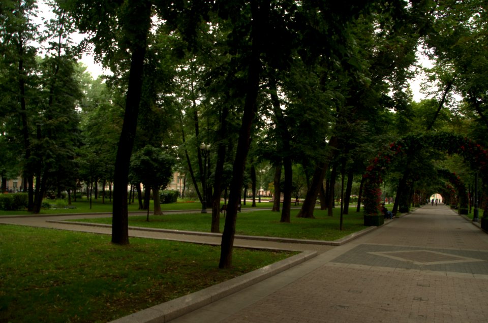 0093_August_2016_in_Moscow