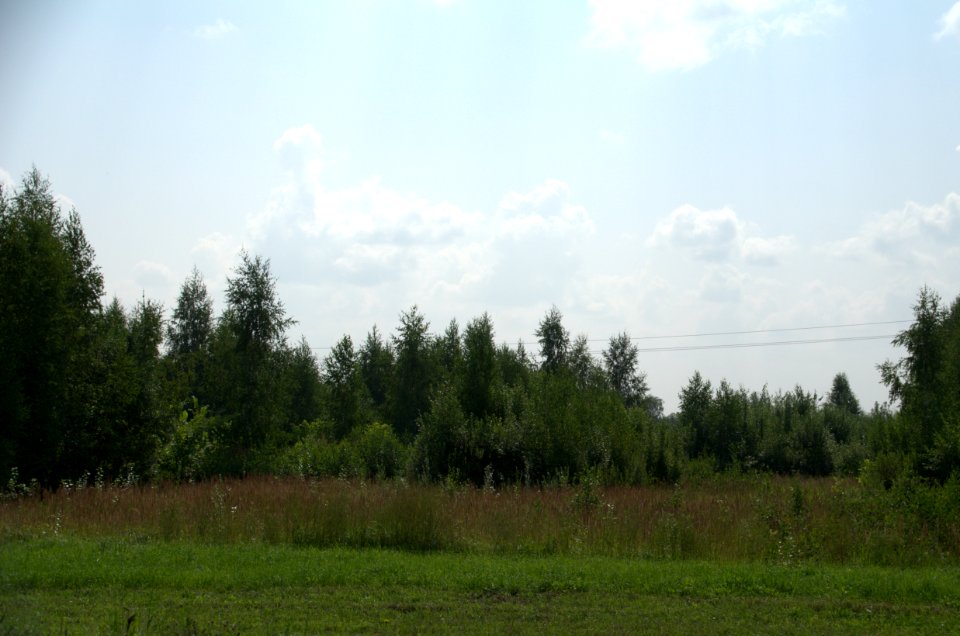 0101_29th_of_July_2016_in_Vladimir_Oblast,_Russia