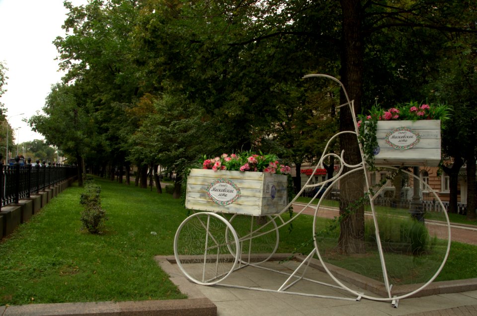 0110_August_2016_in_Moscow