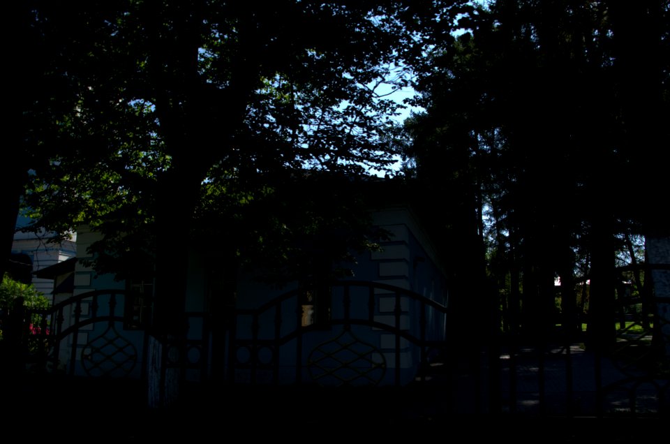 0128_1st_of_August_in_Moscow_Oblast,_Russia