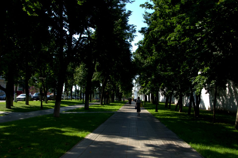 0153_1st_of_August_in_Moscow_Oblast,_Russia