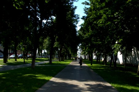 0153_1st_of_August_in_Moscow_Oblast,_Russia