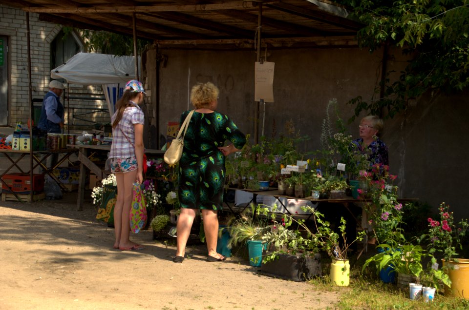 0153_August_2016_in_Maksatikha_Tver_Oblast_Russia