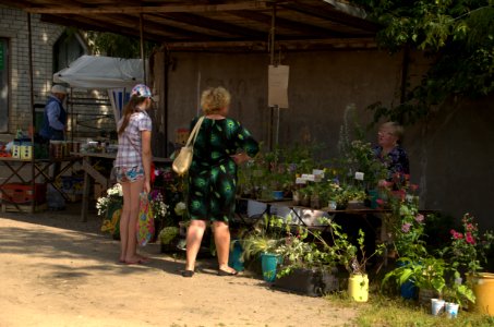 0153_August_2016_in_Maksatikha_Tver_Oblast_Russia