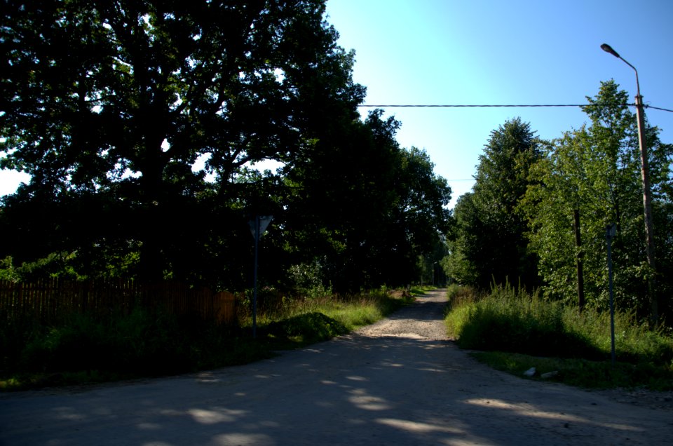 0107_1st_of_August_in_Moscow_Oblast,_Russia