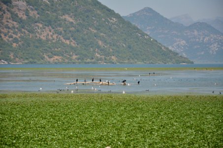 0097_July_2017_in_Montenegro
