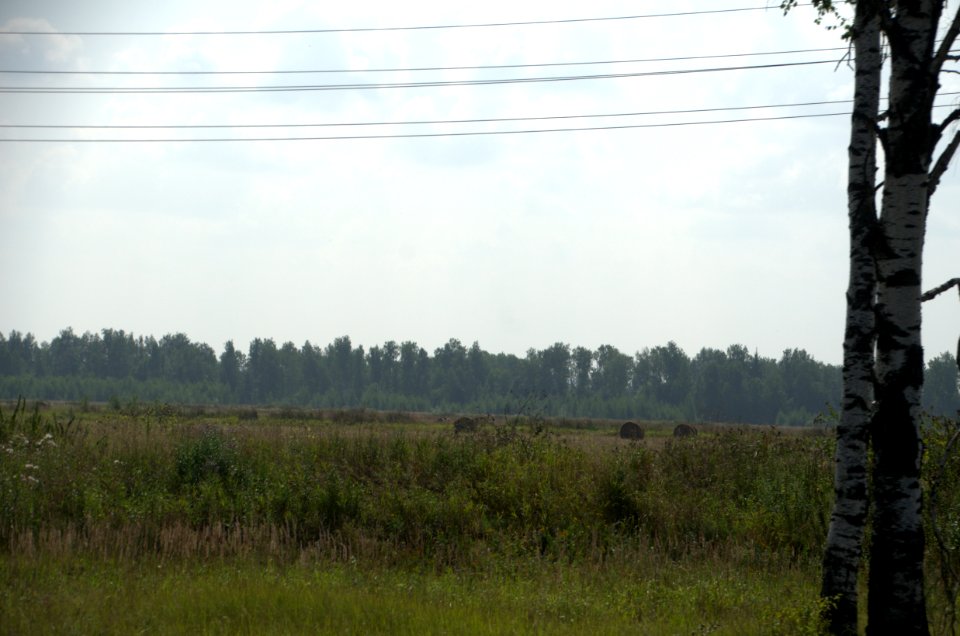 0093_29th_of_July_2016_in_Vladimir_Oblast,_Russia
