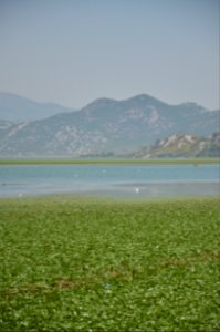 0092_July_2017_in_Montenegro