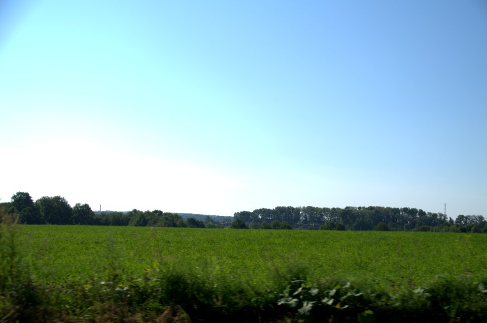 0113_1st_of_August_in_Moscow_Oblast,_Russia