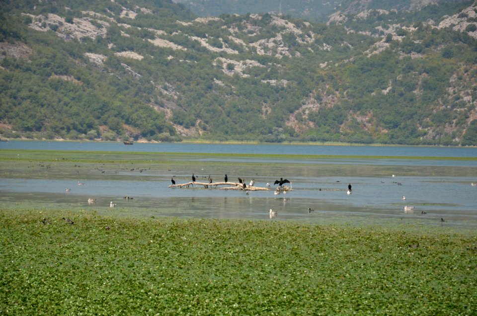 0094_July_2017_in_Montenegro