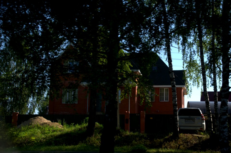 0091_1st_of_August_2016_in_Moscow_Oblast_Russia