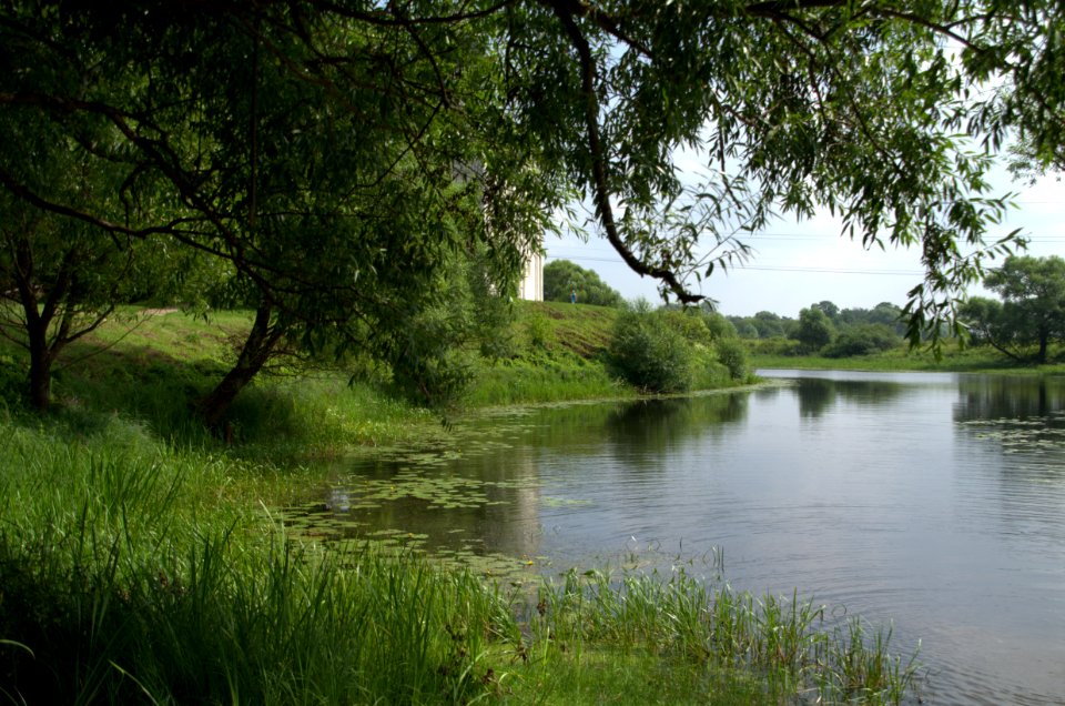 0239_29th_of_July_2016_in_Bogolyubovo_Vladimir_Oblast_Russia