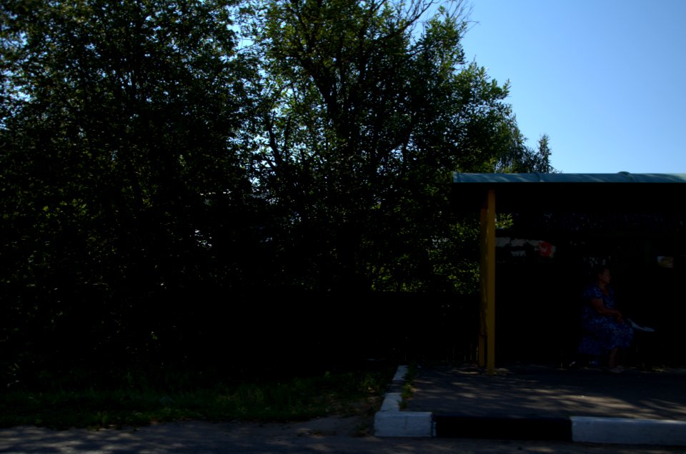 0110_1st_of_August_in_Moscow_Oblast,_Russia