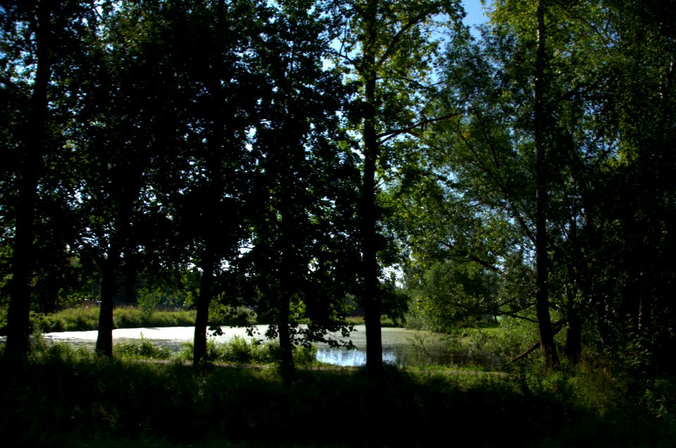 0106_1st_of_August_in_Moscow_Oblast,_Russia