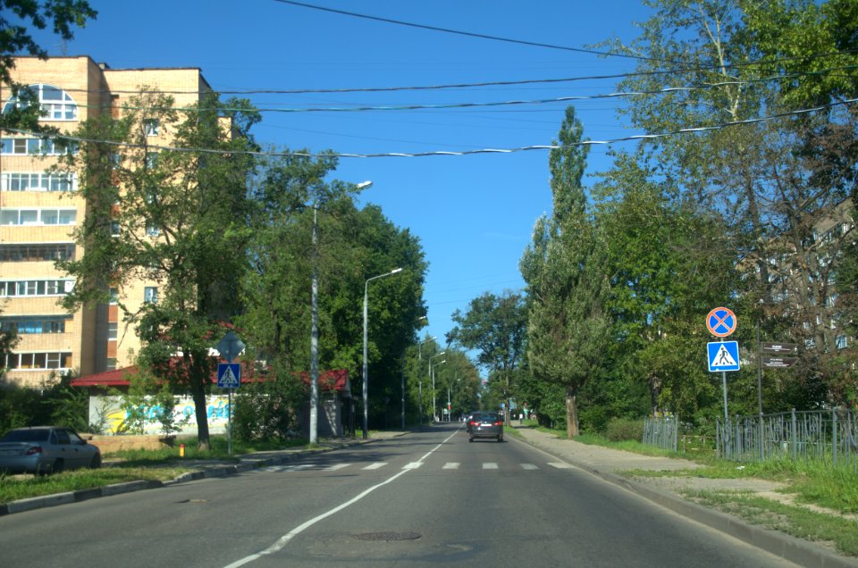 0118_1st_of_August_in_Moscow_Oblast,_Russia