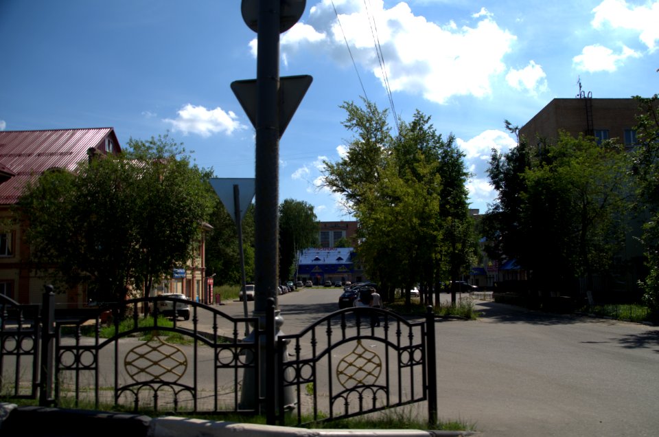 0274_1st_of_August_2016_in_Moscow_Oblast_Russia