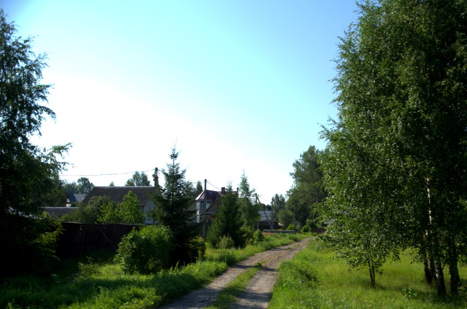 0096_1st_of_August_in_Moscow_Oblast,_Russia
