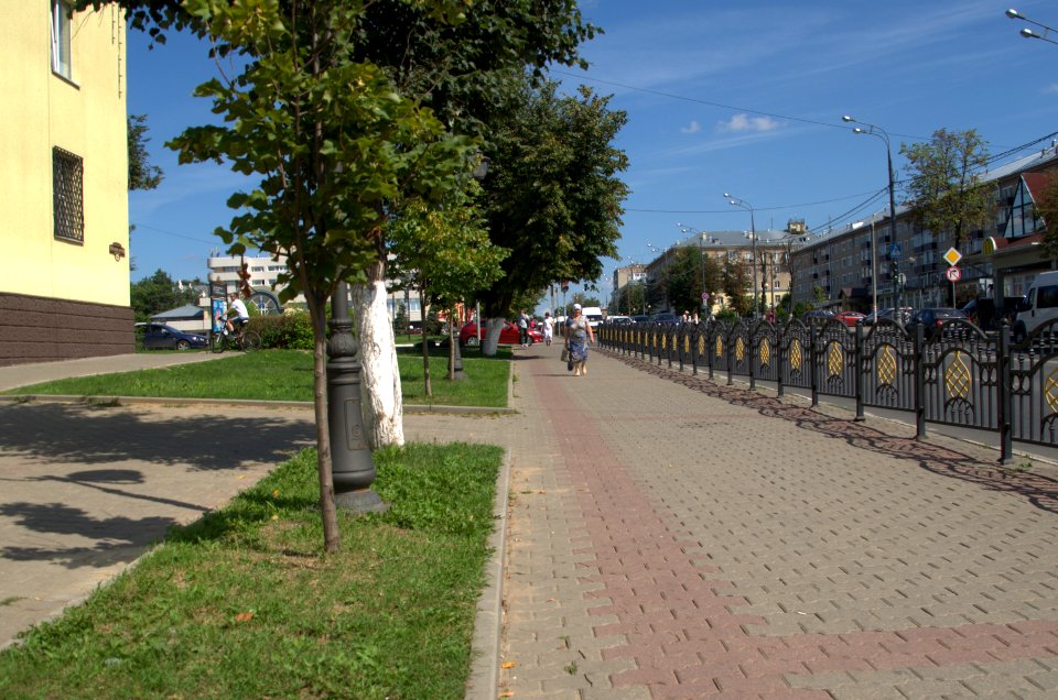 0264_1st_of_August_2016_in_Moscow_Oblast_Russia