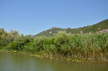 0114_July_2017_in_Montenegro