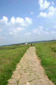 0229_29th_of_July_2016_in_Bogolyubovo_Vladimir_Oblast_Russia