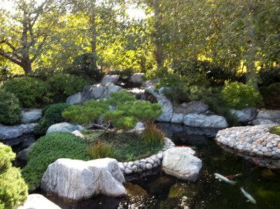 023_Balboa_Park_Japanese_Garden photo