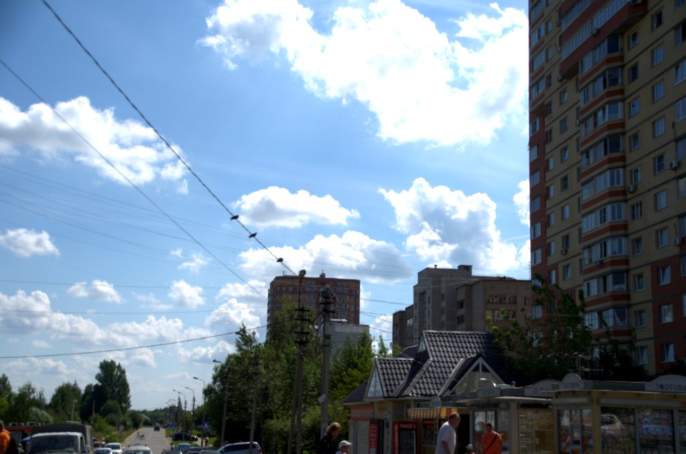 0280_1st_of_August_2016_in_Moscow_Oblast_Russia