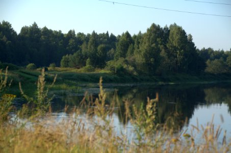 0199_August_2016_in_Tver_Oblast