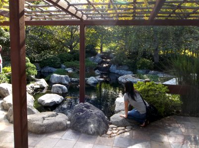 018_Balboa_Park_Japanese_Garden