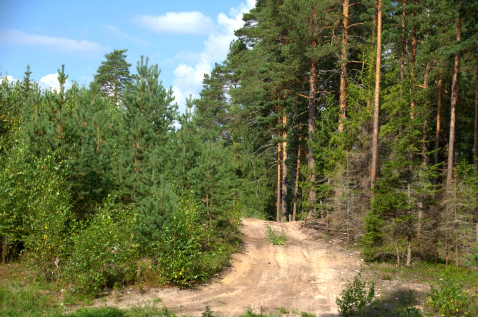 0228_Maksatikhinsky_District,_Tver_Oblast