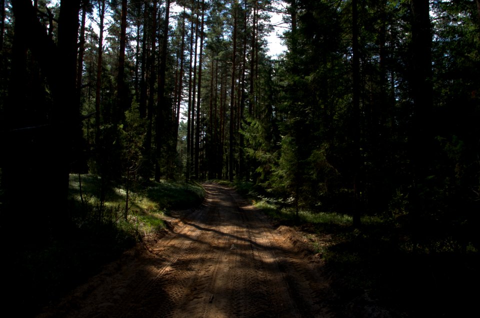 0234_Maksatikhinsky_District,_Tver_Oblast