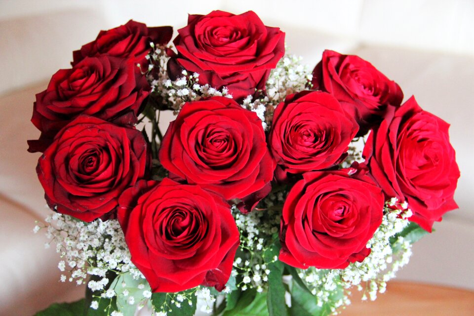 Mother's day birthday valentine's day
