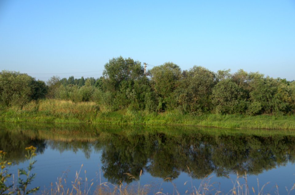 0198_August_2016_in_Tver_Oblast
