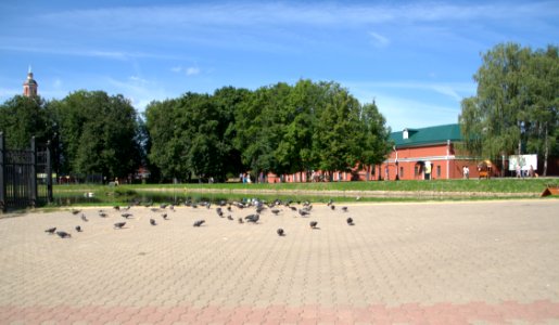 0261_1st_of_August_2016_in_Moscow_Oblast_Russia