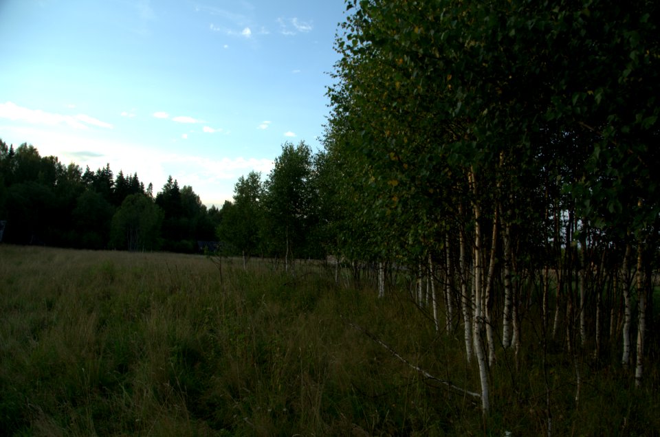 0189_August_2016_in_Tver_Oblast