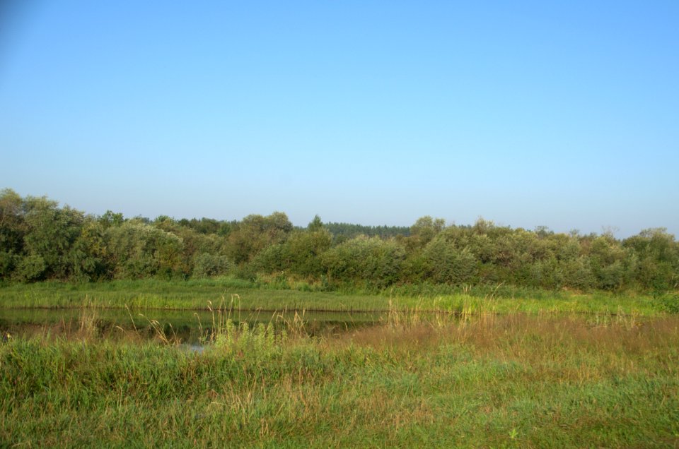 0196_August_2016_in_Khabary_Tver_Oblast