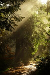 The rays mountains trail