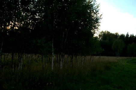 0192_August_2016_in_Tver_Oblast