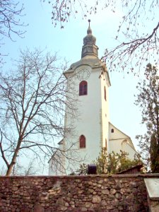 01BisRefTurdaNoua