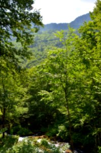 0223_July_2017_in_Montenegro