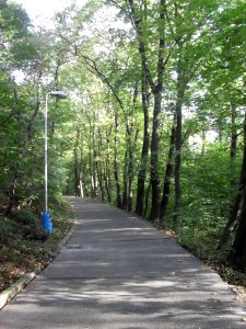 (TTO)_Hrad_Doubravská_hora,_zřícenina_(Teplice)_4_10_2013_29