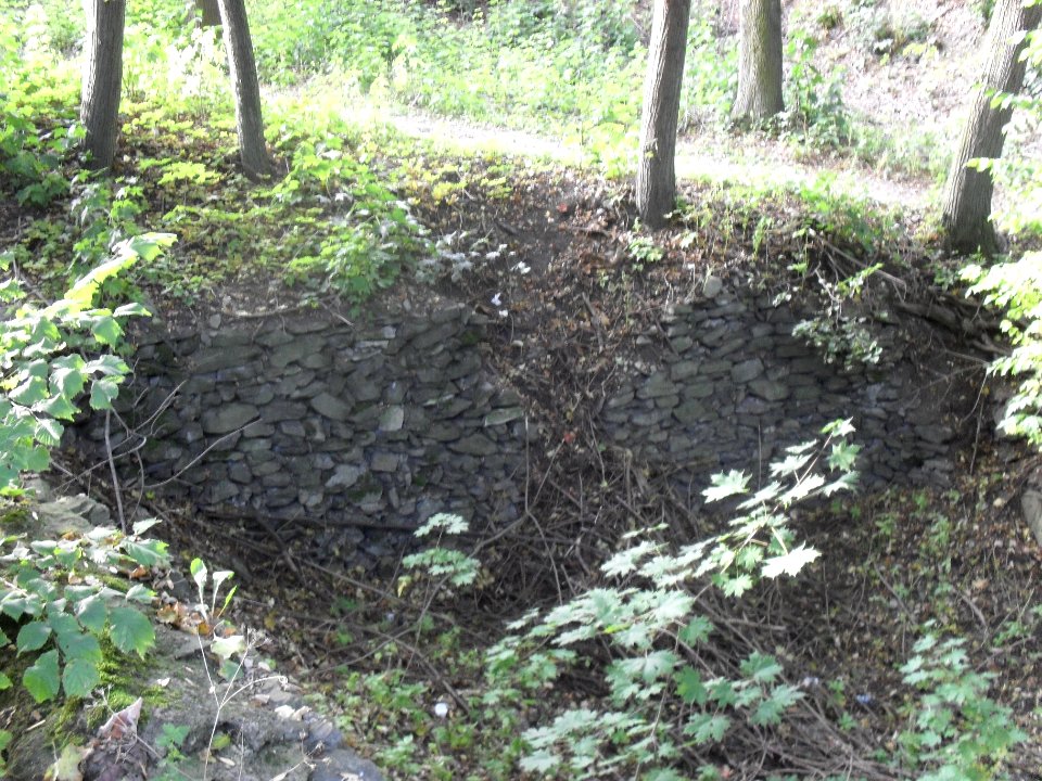 (TTO)_Hrad_Doubravská_hora,_zřícenina_(Teplice)_4_10_2013_50