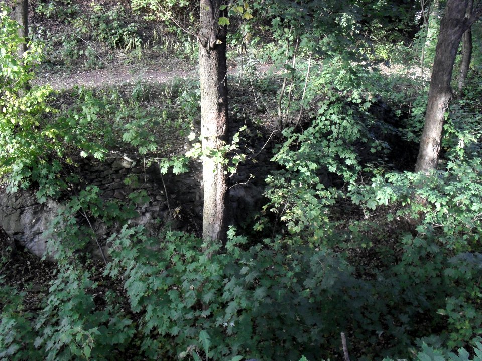 (TTO)_Hrad_Doubravská_hora,_zřícenina_(Teplice)_4_10_2013_49