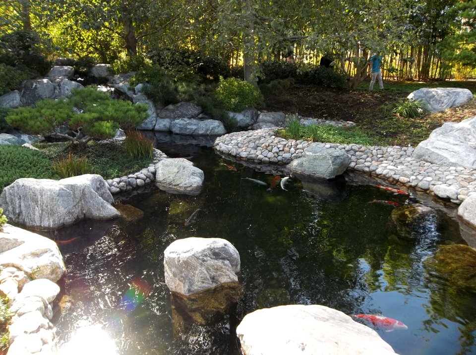 022_Balboa_Park_Japanese_Garden