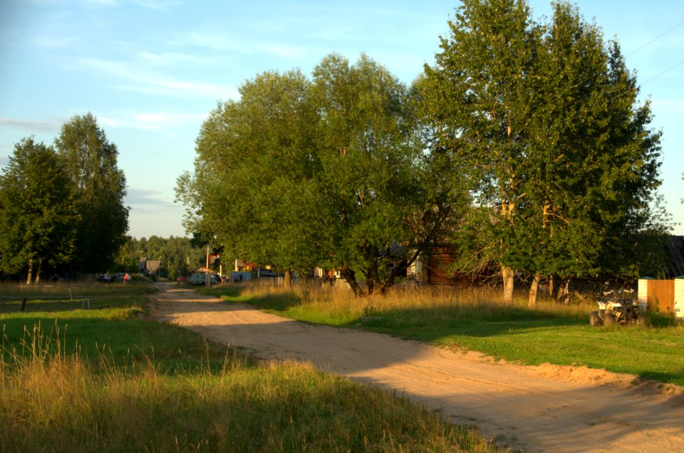 0194_August_2016_in_Khabary_Tver_Oblast